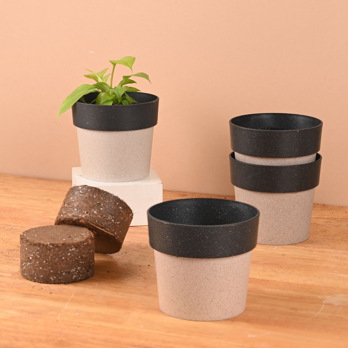 Ecopod Pflanzentopf 4"