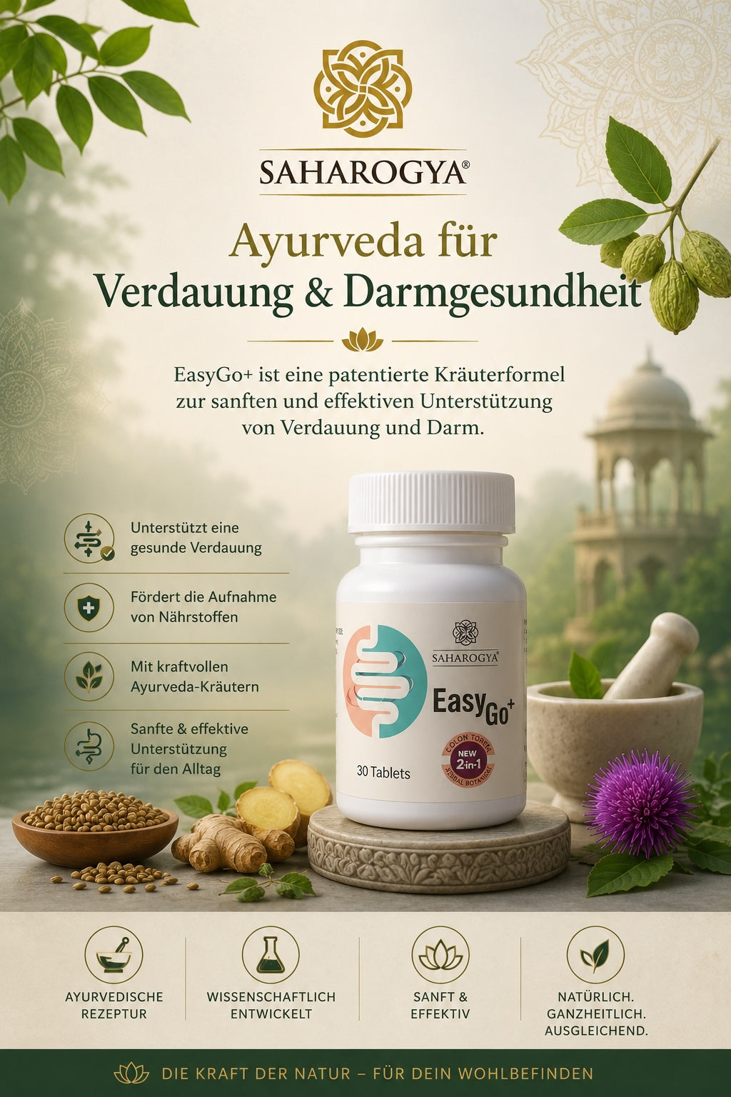 EasyGo+ 30 Tabletten