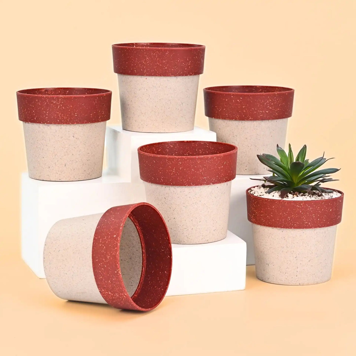 Ecopod Pflanzentopf 4"
