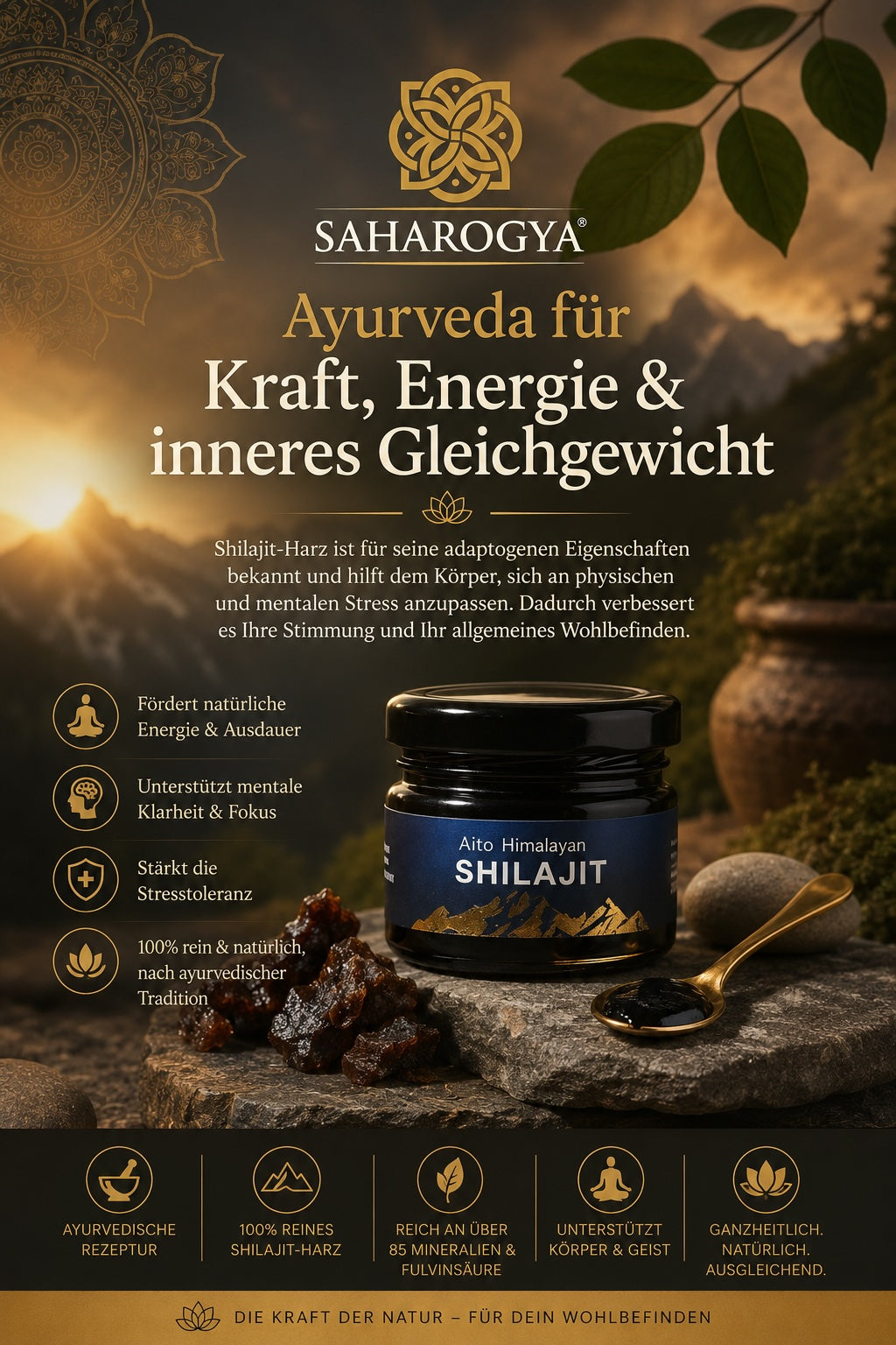 Himalaya Shilajit Harz